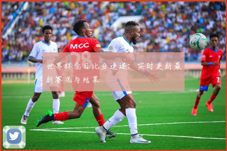 世界杯今日比分速递：实时更新最新赛况与结果