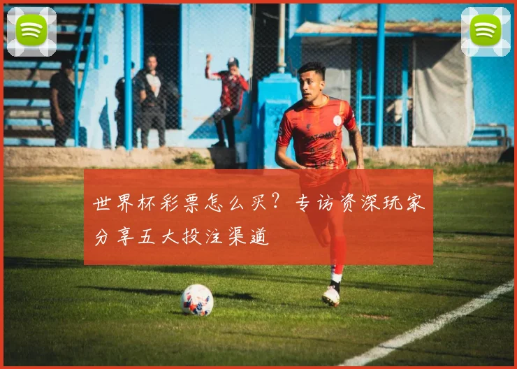 世界杯彩票怎么买？专访资深玩家分享五大投注渠道