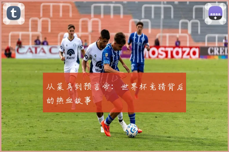 从菜鸟到预言帝：世界杯竞猜背后的热血故事