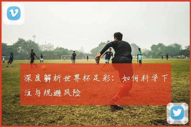 深度解析世界杯足彩：如何科学下注与规避风险