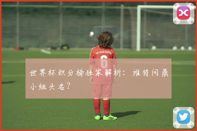 世界杯积分榜独家解析:谁将问鼎小组头名?