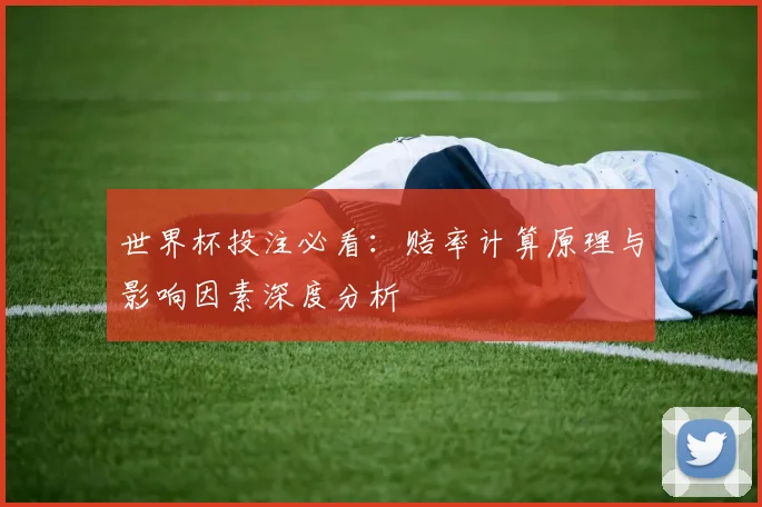 世界杯投注必看：赔率计算原理与影响因素深度分析