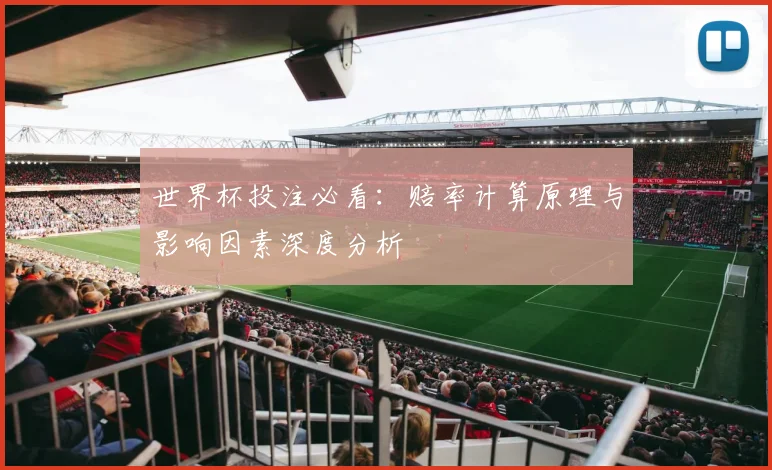 世界杯投注必看：赔率计算原理与影响因素深度分析