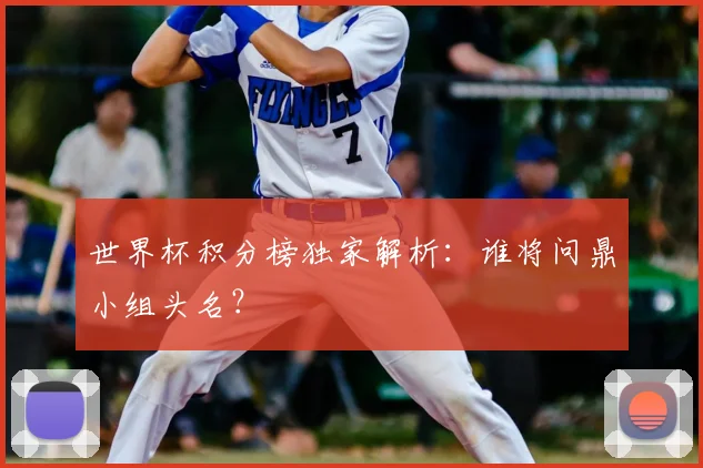 世界杯积分榜独家解析:谁将问鼎小组头名?