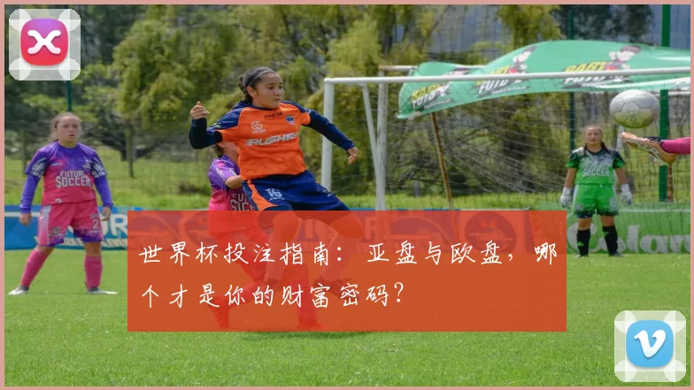 世界杯投注指南：亚盘与欧盘，哪个才是你的财富密码？